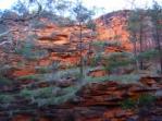 Australian Outback Australian Outback